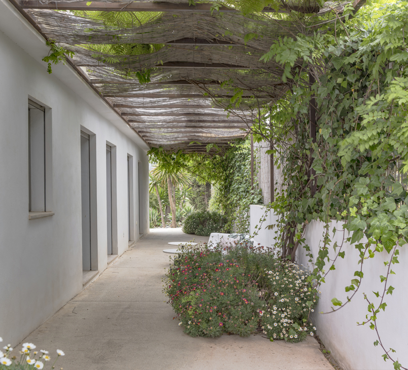 http://andresflajszer.com/files/gimgs/262_078-1s3a2608-09-10-11-12-13-andres-flajszer-oficina-transversal-finca-yantar.jpg